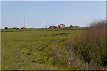 TM4974 : Field and ditch, Walberswick by Peter Facey