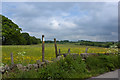 A footpath to Fowler Fold