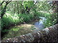 River Ebble from Homington Bridge