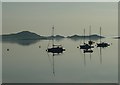 NR5267 : Sailing boats, early morning by Rob Farrow