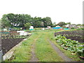 Allotments - off Old Lane