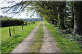 Track near Gatcombe Farm