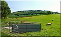 Towards Boddington Hill