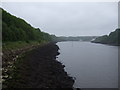 The River Tyne