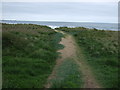 Path to the beach