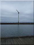 NZ3281 : Wind turbine, East Pier, Blyth by JThomas