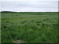 Farmland off the A1061