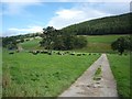 Track to Longside House