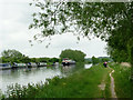 SO7204 : Gloucester and Sharpness Canal near Slimbridge by Roger  D Kidd