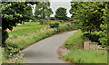 The Tullynacross Road near Hillhall, Lisburn