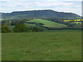 View towards Abberley Hill