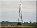 Pylon and power lines, Tullynacross near Lisburn