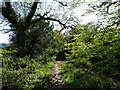 Path to Charlestown Harbour