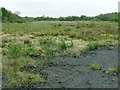 Site of former Pant-y-Ffynnon Colliery