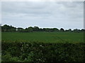 Farmland, Morpeth