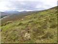 NH1059 : Slopes to the west of Allt Mor above Loch a' Chroisg by ian shiell