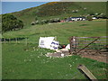 Shearing time has arrived