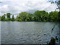 Leybourne Lake