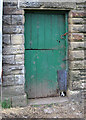 Chinley - door and dog at Hull End