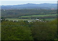 View to the Clent Hills