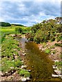 Auchlane Burn