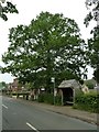 Bus stop at Chiddingstone Causeway