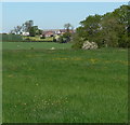 Pasture land near Gaddesby Lodge