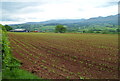 Field, Gludy Isaf Farm