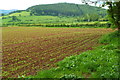 Hillside view from Cradoc Road