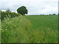 Footpath to Nordley