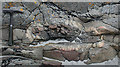 NM6224 : Pelite Xenolith in Gabbro by Anne Burgess