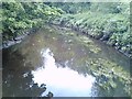 View of the River Brent from the footbridge in Brent River Park #2