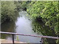 View of the River Brent from the footbridge in Brent River Park #5