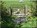 New gate and traditional stone bridge