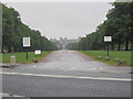 The Long Walk towards Windsor Castle