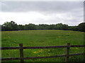 ST2384 : Farmland near Michaelston-y-Fedw by Burgess Von Thunen