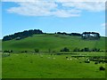 View to Crow Bank