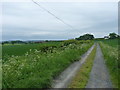 Bridleway down to the two Binnals