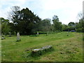 Mid May, 2012 at St Mary, Long Crichel (VIII)