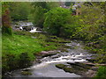 River Rhiw at Berriew