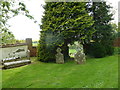 Parish church at Gussage All Saints: churchyard (2)