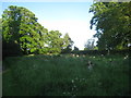 The churchyard at Booton