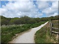 Cycle track at the north of Upper Tamar Lake