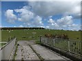 The eastern end of the dam of Upper Tamar Lake