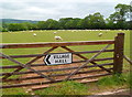 Village Hall thataway, Cusop