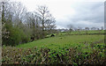 Farmland north-east of Llanafarn-fawr, Powys