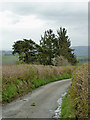 Narrow lane south-west of Newbridge, Powys