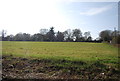 Farmland by Nursery Lane