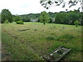 June 2012, Hollybrook Cemetery (23)