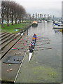 Oarsmen at Newark Marina